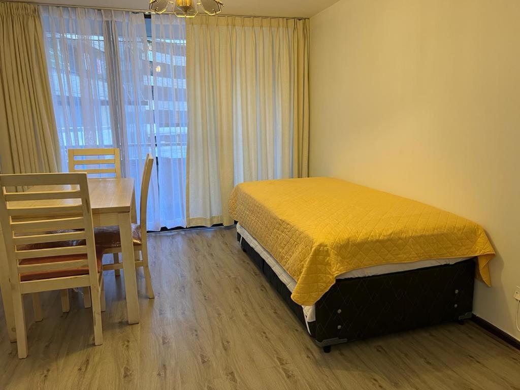 Apartament Departamentos Providencia J&M Santiago de Chile Zewnętrze zdjęcie
