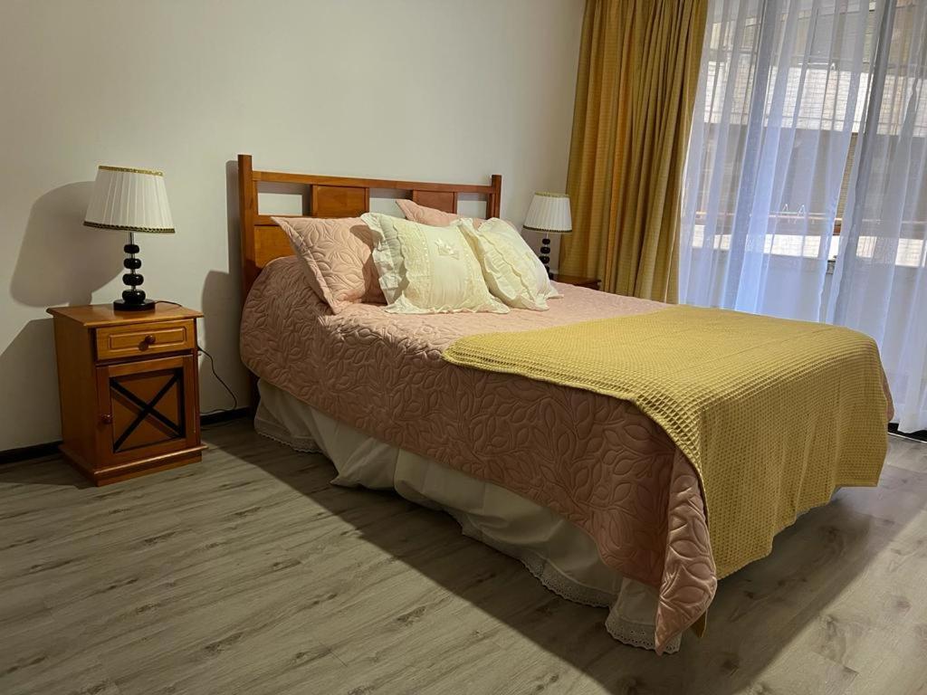 Apartament Departamentos Providencia J&M Santiago de Chile Zewnętrze zdjęcie